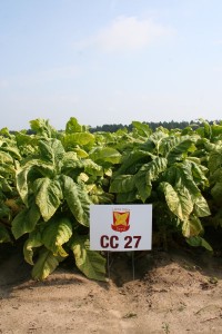 CC27