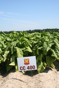 CC 400