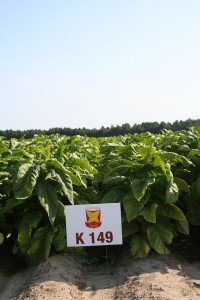 K149