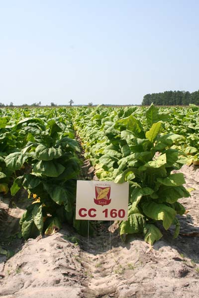 CC 160 CC 160